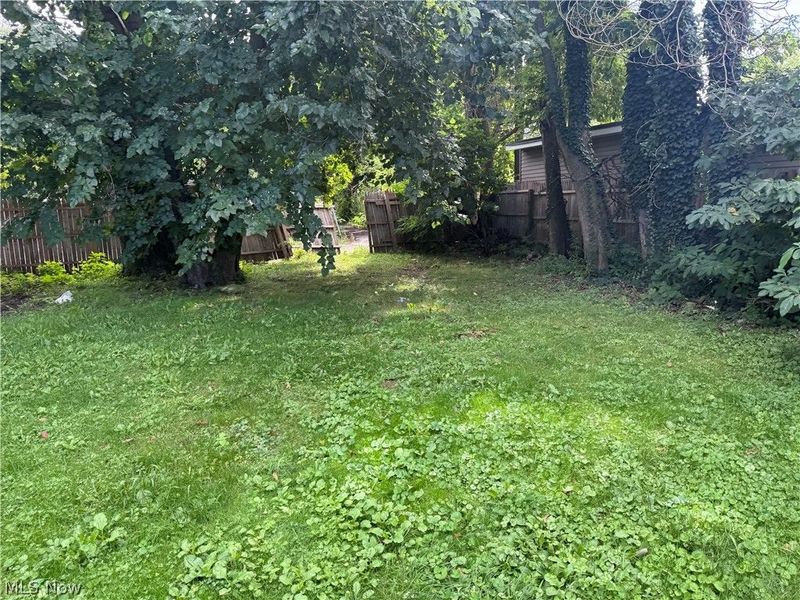 5011 Clark Avenue, Cleveland, OH 44102 Photo 3