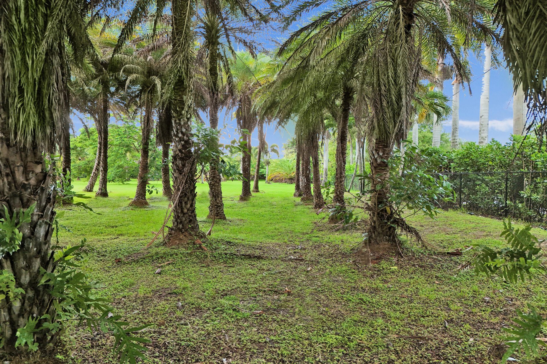 7555 NW 82nd Terrace, Parkland, FL 33067 Photo