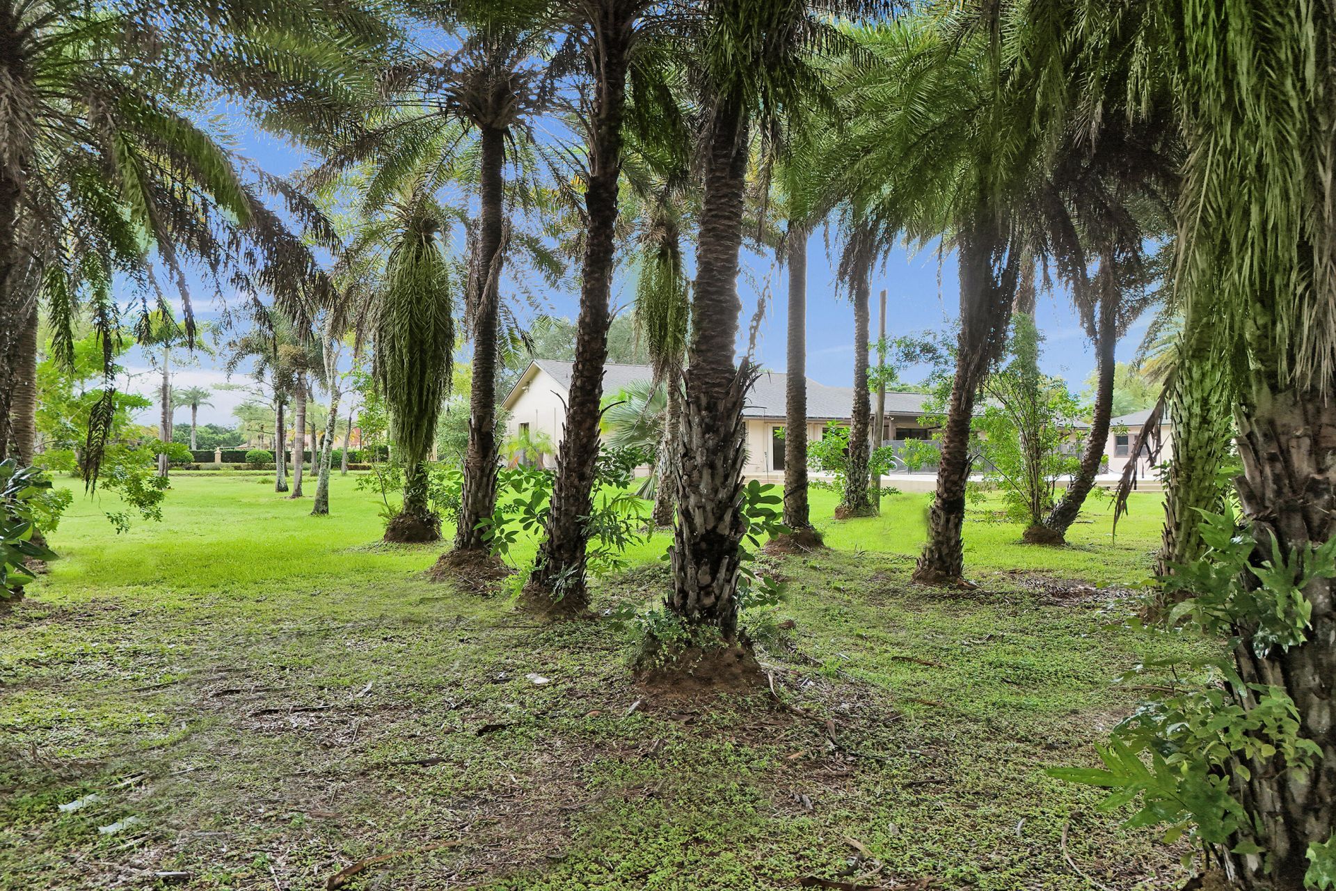 7555 NW 82nd Terrace, Parkland, FL 33067 Photo