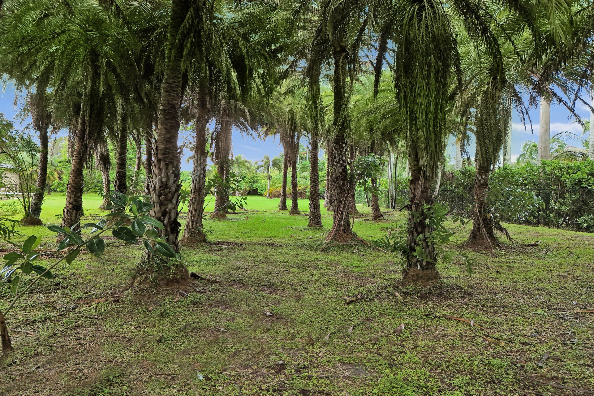 7555 NW 82nd Terrace, Parkland, FL 33067 Photo