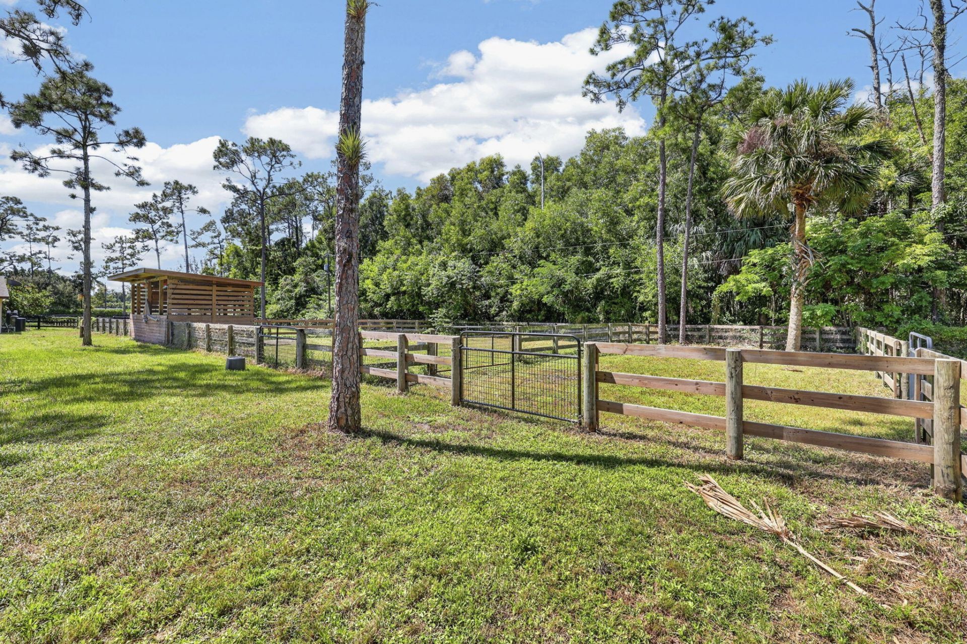 13253 Casey Road, Loxahatchee Groves, FL 33470 Photo