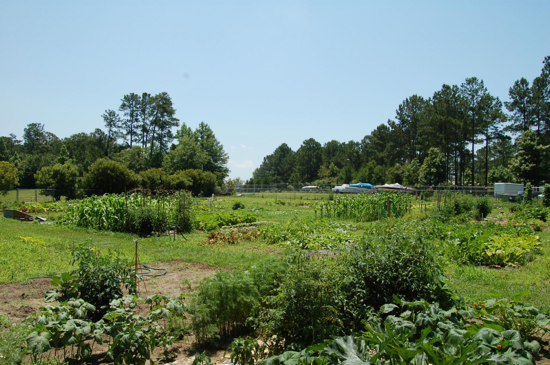 10 N Lake Circle Photo 17