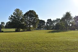 10 N Lake Circle photo 4