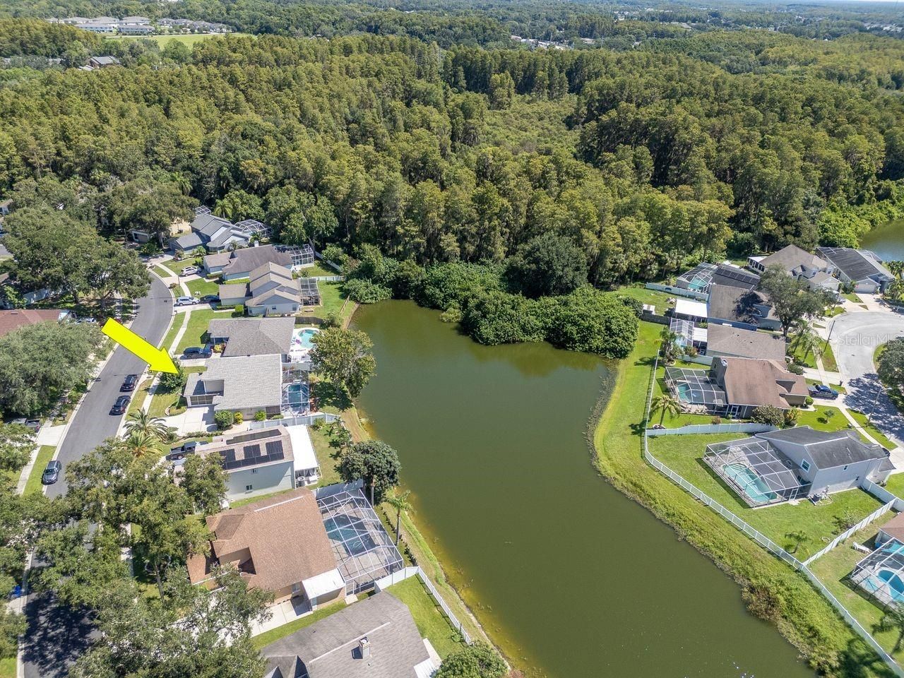 4842 Wellbrook Drive, New Port Richey, FL 34653 Photo