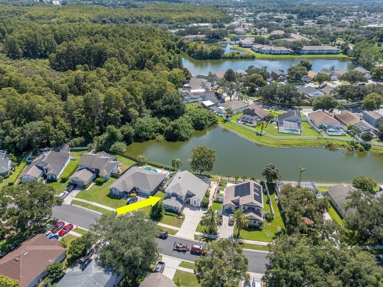 4842 Wellbrook Drive, New Port Richey, FL 34653 Photo