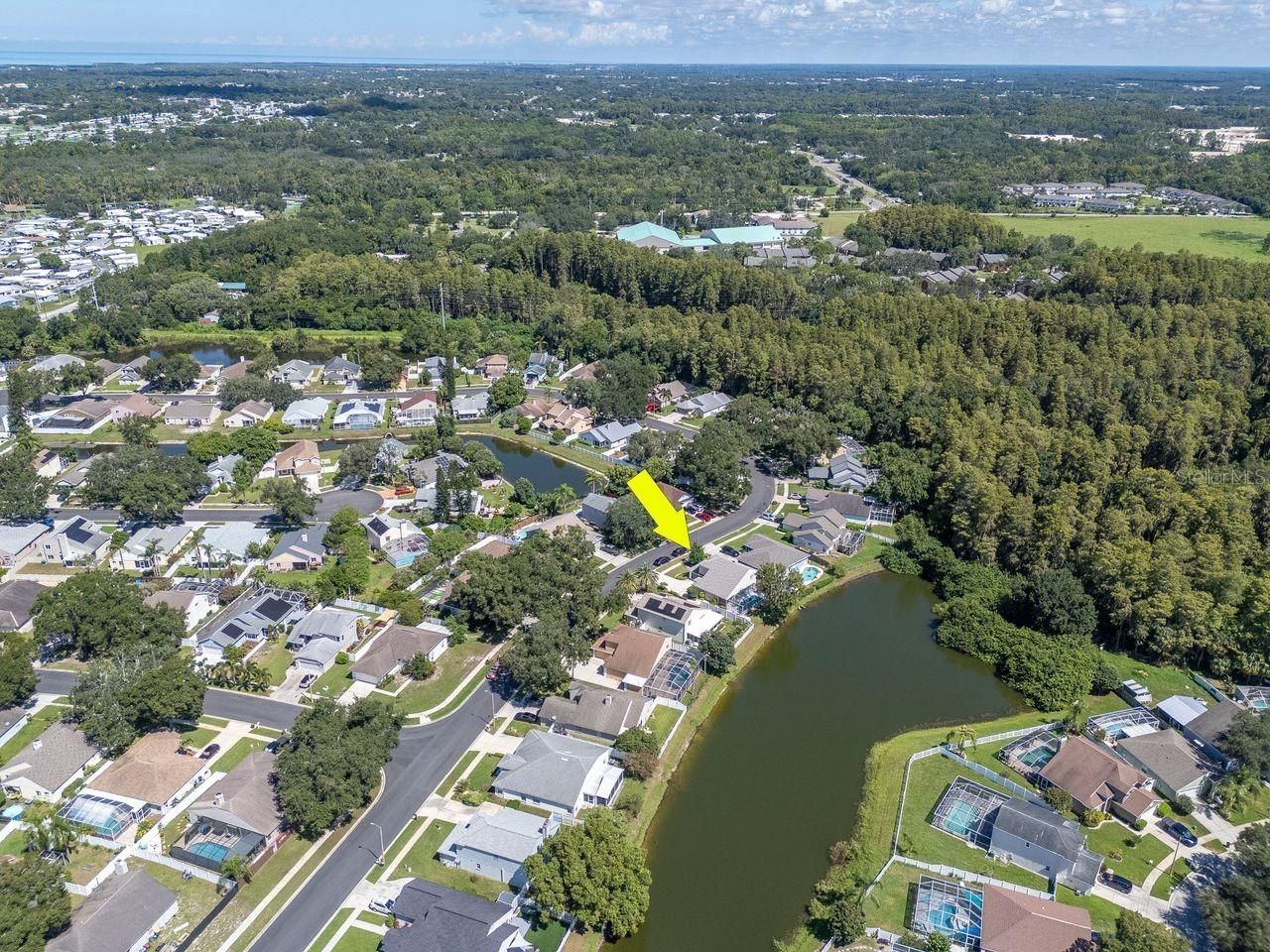 4842 Wellbrook Drive, New Port Richey, FL 34653 Photo