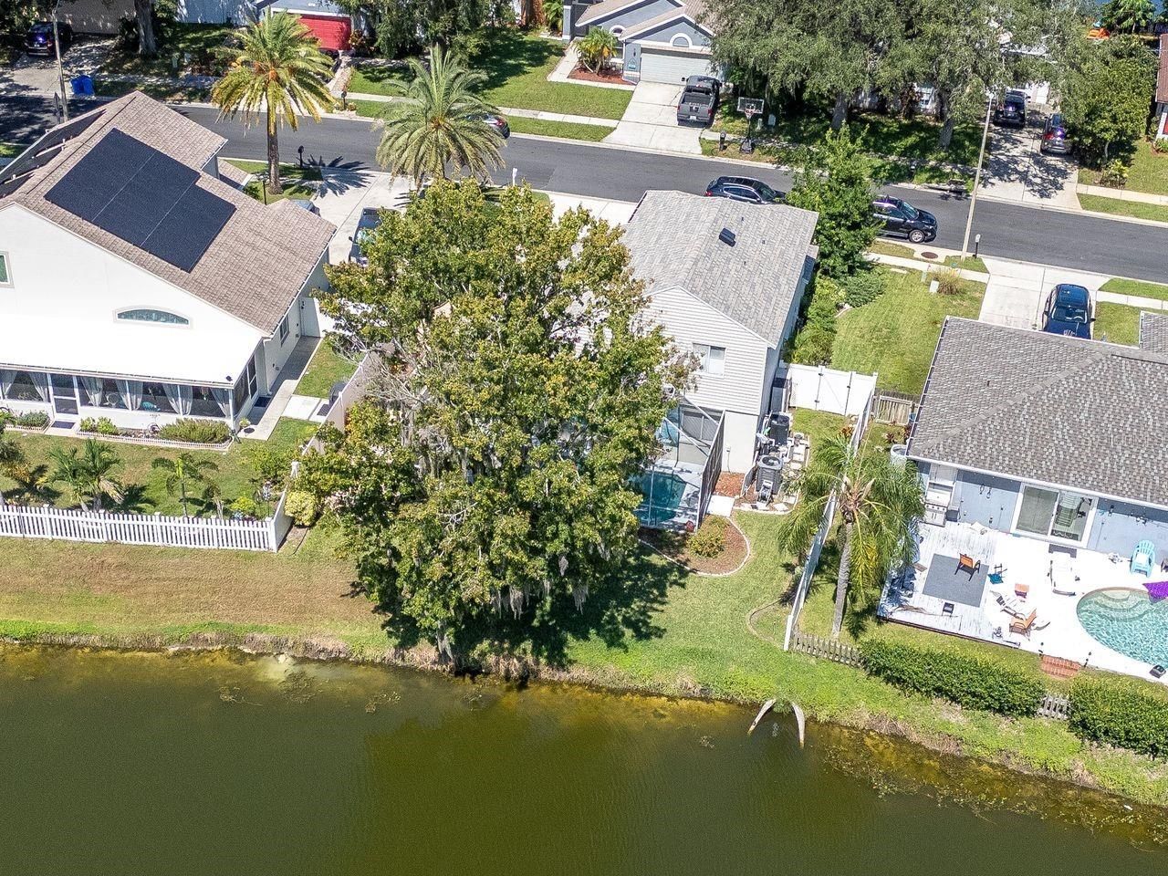 4842 Wellbrook Drive, New Port Richey, FL 34653 Photo