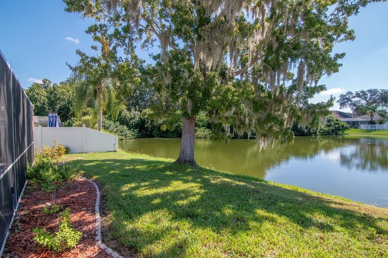 4842 Wellbrook Drive, New Port Richey, FL 34653 Photo