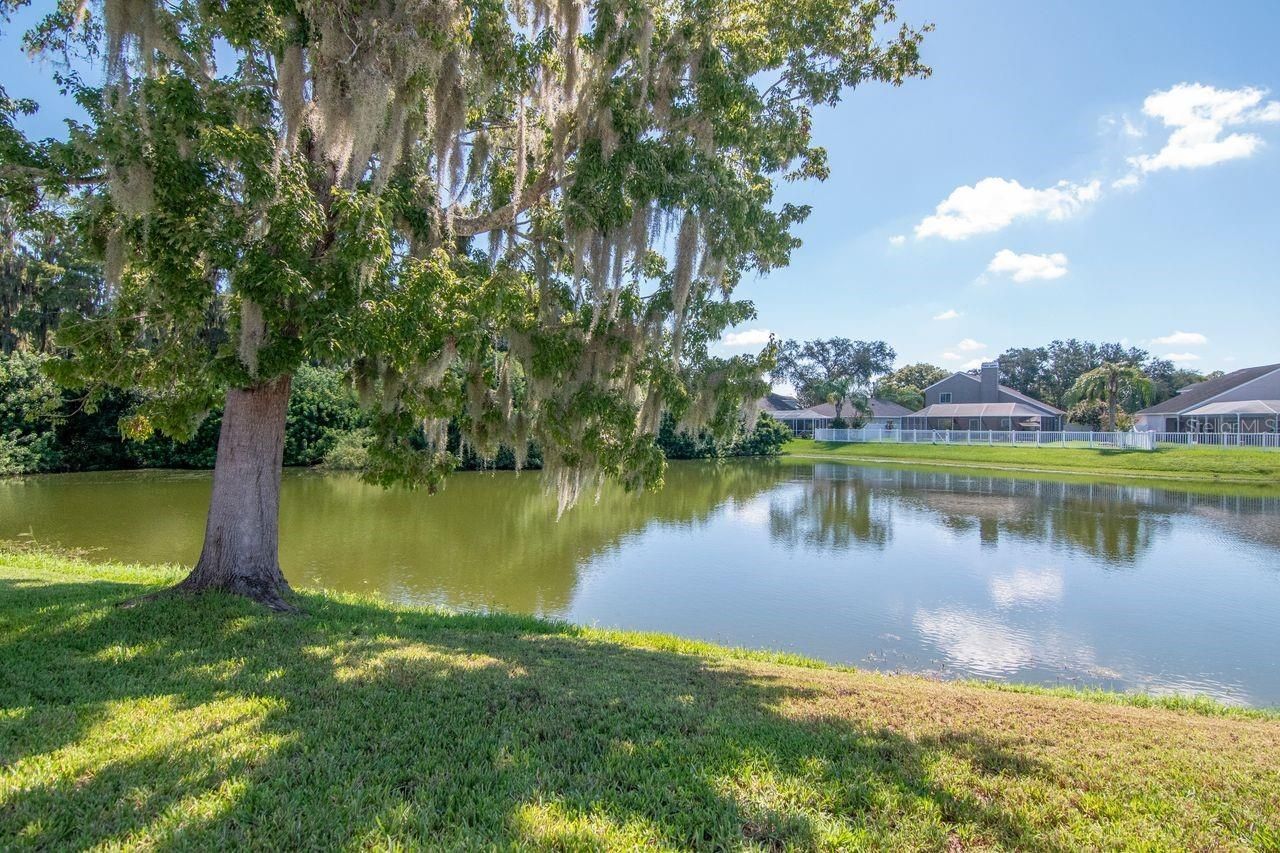 4842 Wellbrook Drive, New Port Richey, FL 34653 Photo