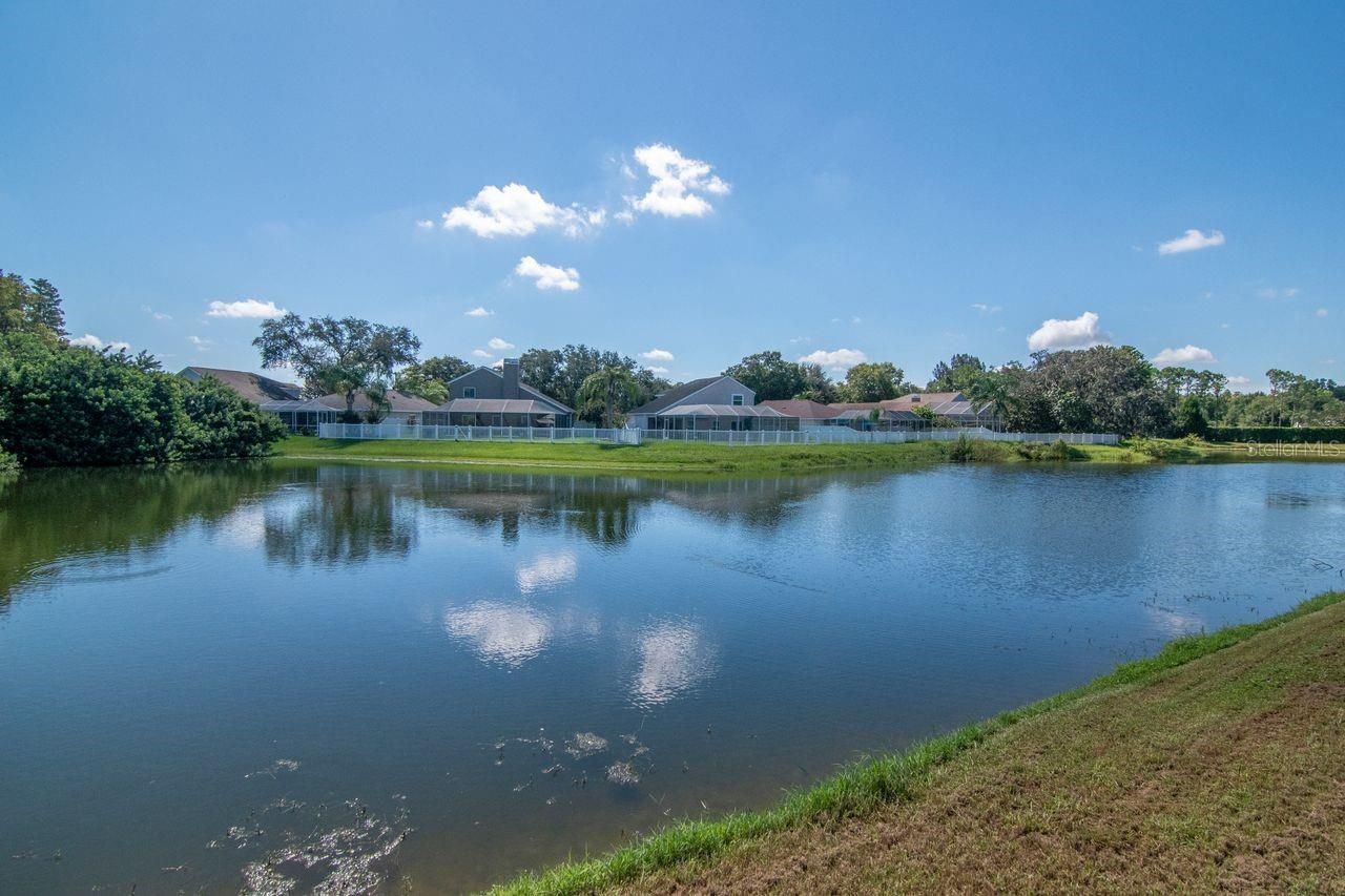 4842 Wellbrook Drive, New Port Richey, FL 34653 Photo