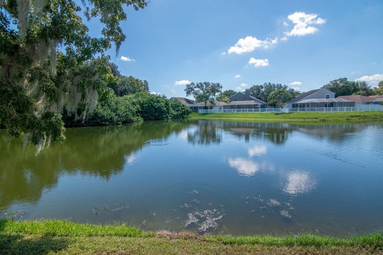 4842 Wellbrook Drive, New Port Richey, FL 34653 Photo