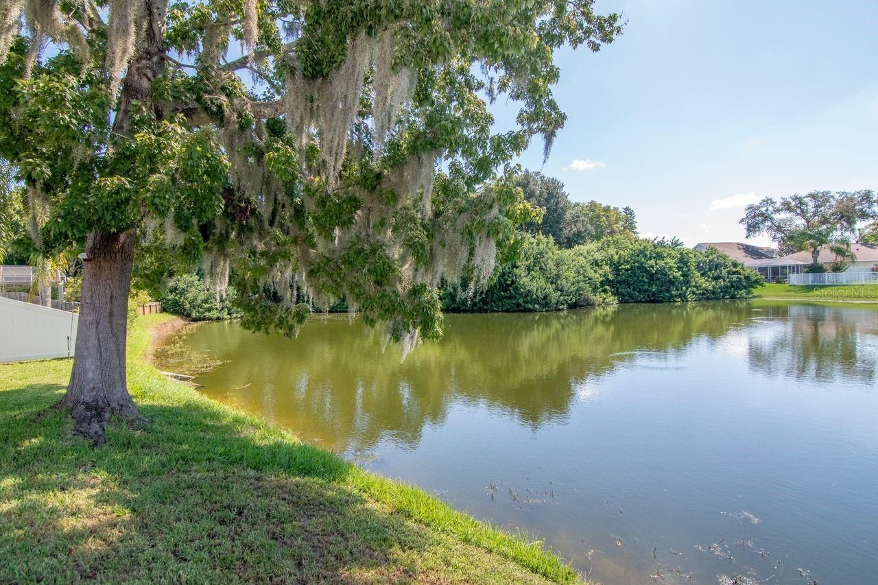 4842 Wellbrook Drive, New Port Richey, FL 34653 Photo