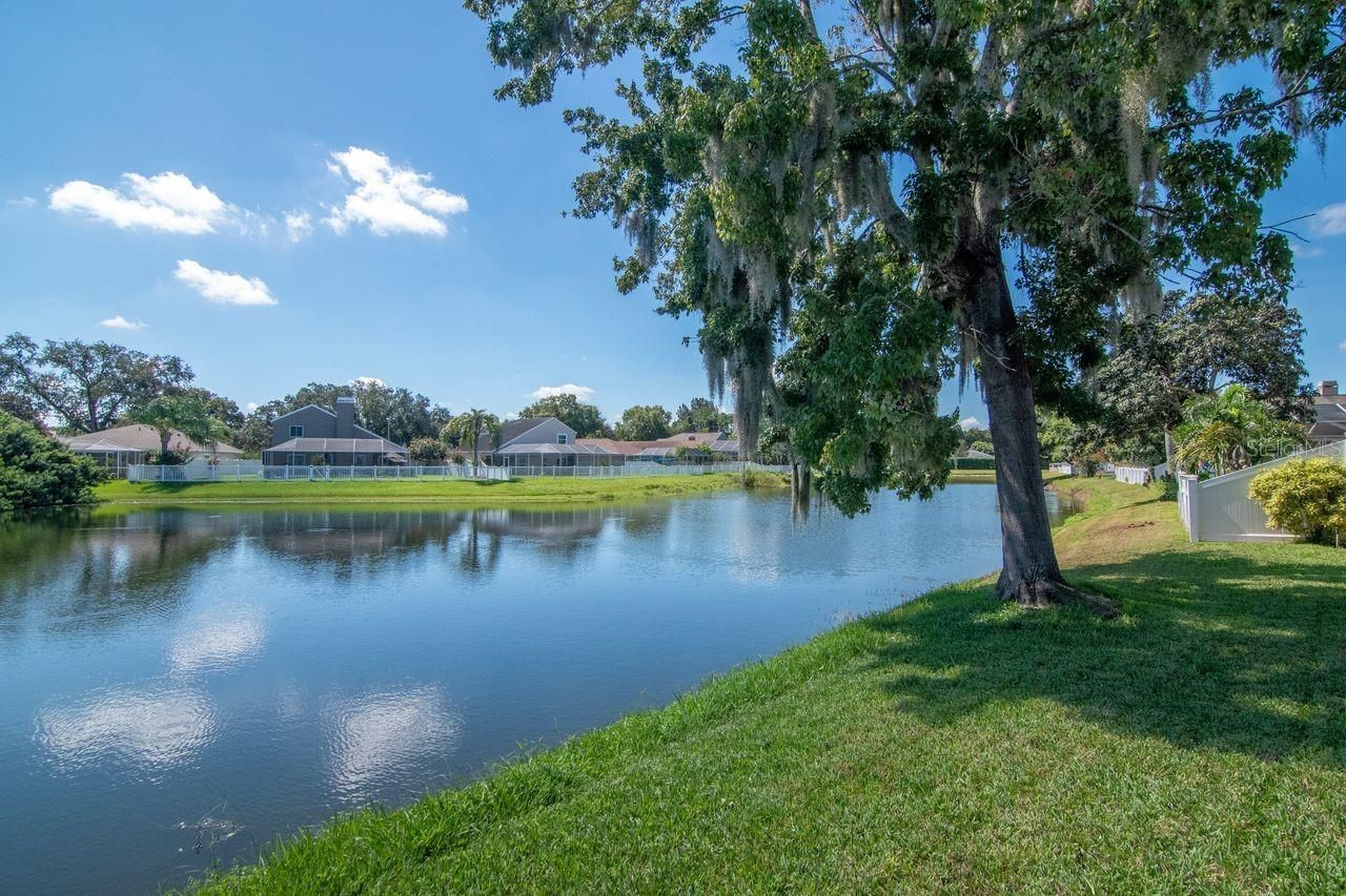 4842 Wellbrook Drive, New Port Richey, FL 34653 Photo