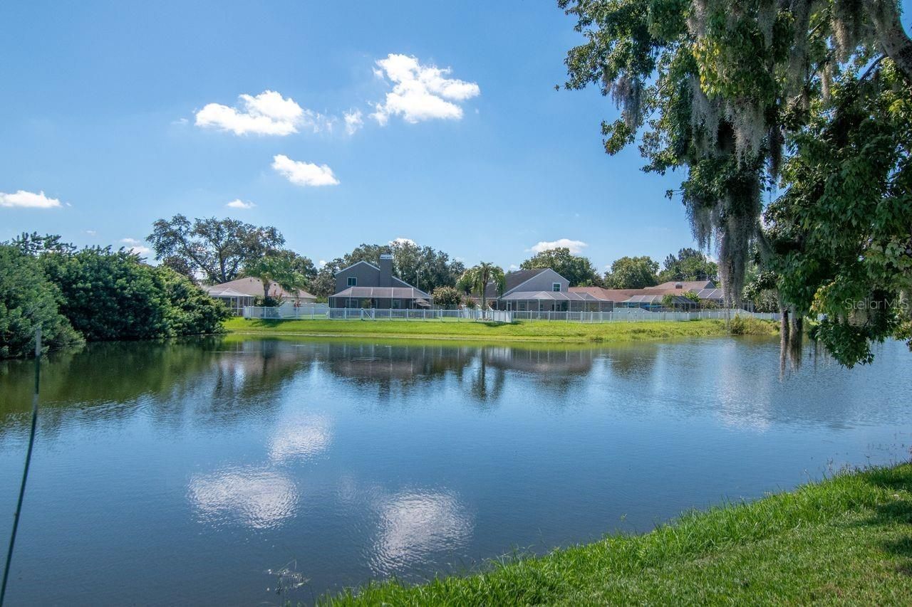 4842 Wellbrook Drive, New Port Richey, FL 34653 Photo