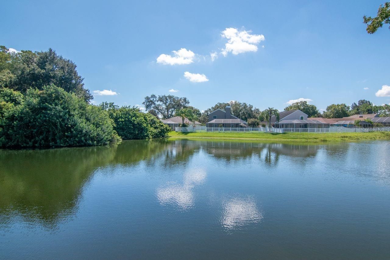 4842 Wellbrook Drive, New Port Richey, FL 34653 Photo