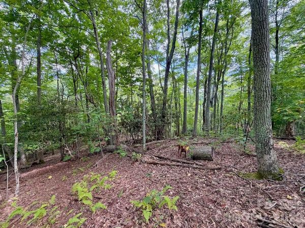 TBD Galax Lane , Banner Elk, NC 28604