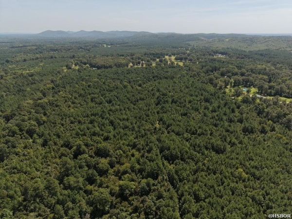 TBD AMITY Road, Bonnerdale, AR 71933