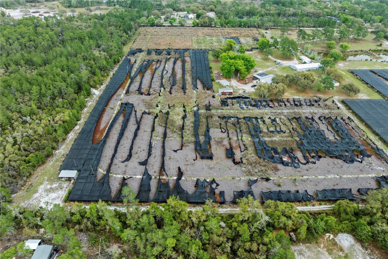 40945 Beach Road, Eustis, FL 32736 Photo