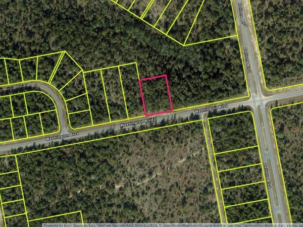 Lot 29 Unit 6 Blk 365 WASHINGTON BOULEVARD, CHIPLEY, FL 32428