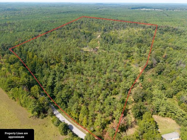 TBD County Road 15, Water Valley, MS 38965