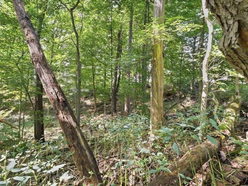 0 Hilltop Drive, Fredericktown, OH 43019 Photo 13