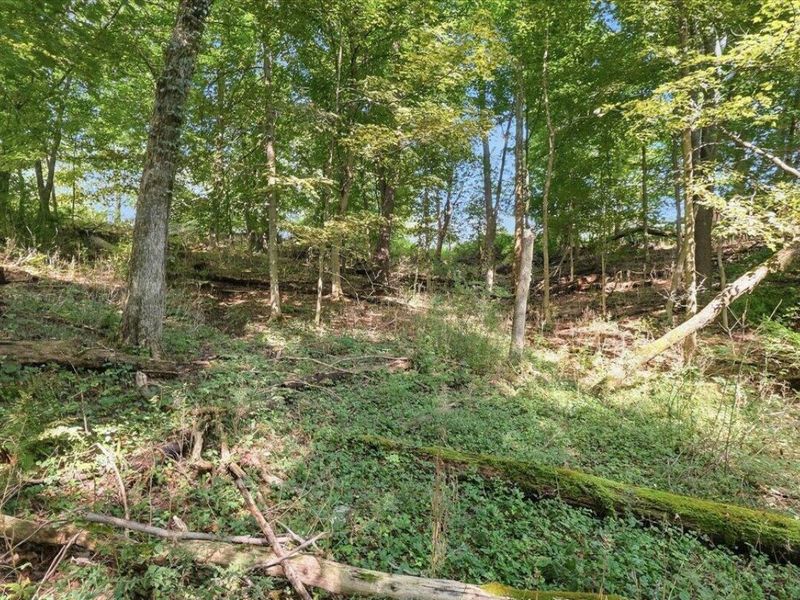 0 Hilltop Drive, Fredericktown, OH 43019 Photo 14