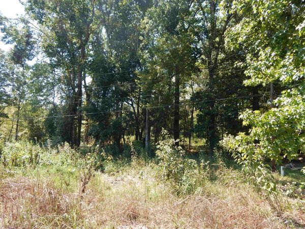 Lot 28 Cooterneck Road , Heber Springs, AR 72543