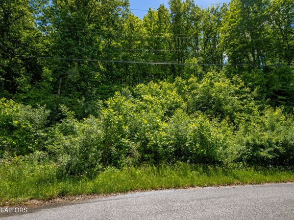 Lot 18 Saddleridge , Speedwell, TN 37870