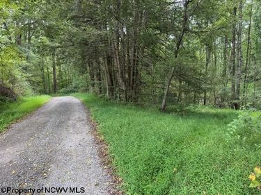 TBD Massie Hollow Road, Rivesville, WV 26588