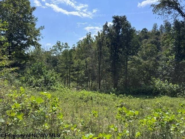 Tbd Hagans Road, Rivesville, WV 26588 Main Photo
