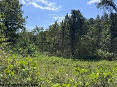 TBD Hagans Road, Rivesville, WV 26588