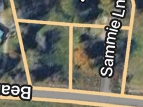 3782 Bear Creek Rd, Thompsons Station, TN 37179