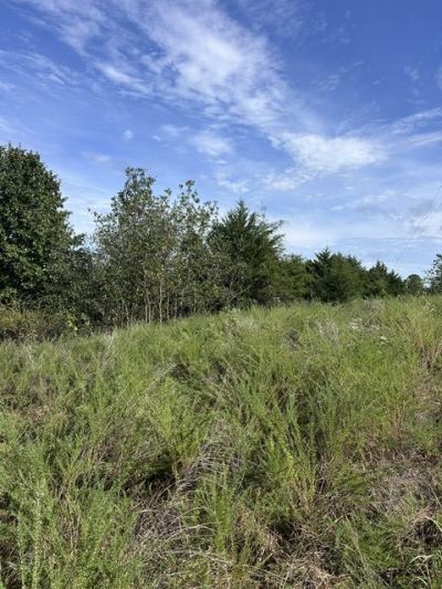 Tbd The Pines Road, Springdale, AR 72764 Main Photo