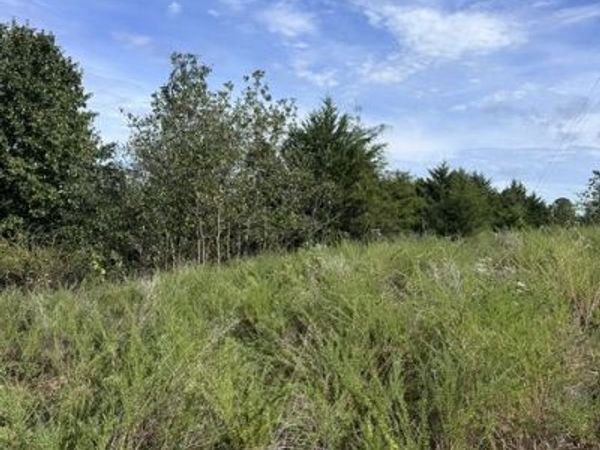 TBD The Pines Road , Springdale, AR 72764