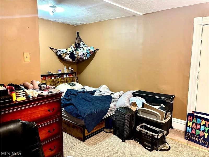 6119 Youngstown Conneaut Road, Kinsman, OH 44428 Photo 19