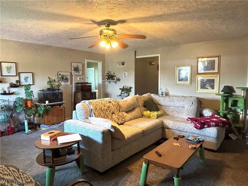 6119 Youngstown Conneaut Road, Kinsman, OH 44428 Photo 8