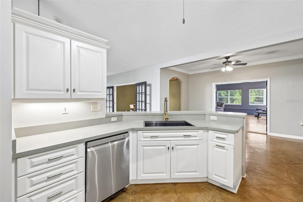 22301 Coronado Somerset Drive, Sorrento, FL 32776 Photo