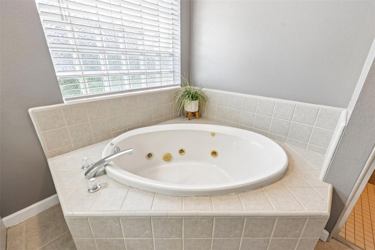 22301 Coronado Somerset Drive, Sorrento, FL 32776 Photo