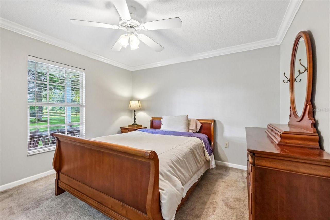 22301 Coronado Somerset Drive, Sorrento, FL 32776 Photo