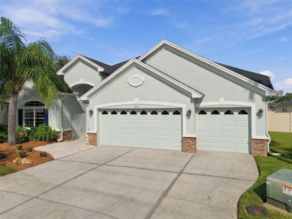 3335 STONEGATE FALLS DRIVE, LAND O LAKES, FL 34638