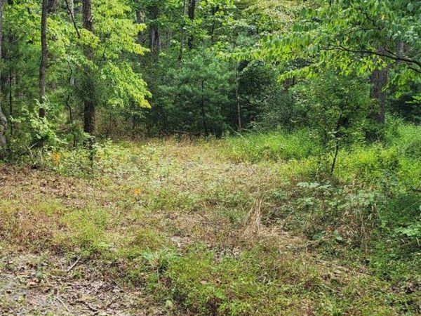 380 CONNERS HOLLOW ROAD, GREAT CACAPON, WV 25422