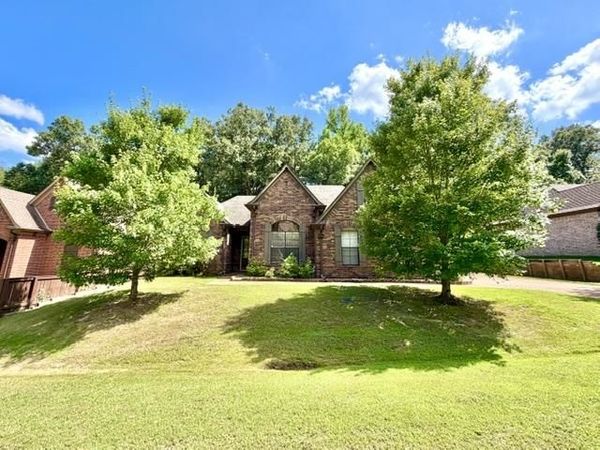 10601 BIRD STONE CV, Cordova, TN 38016