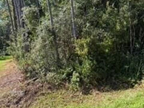 6929 Loysburg Street, Navarre, FL 32566