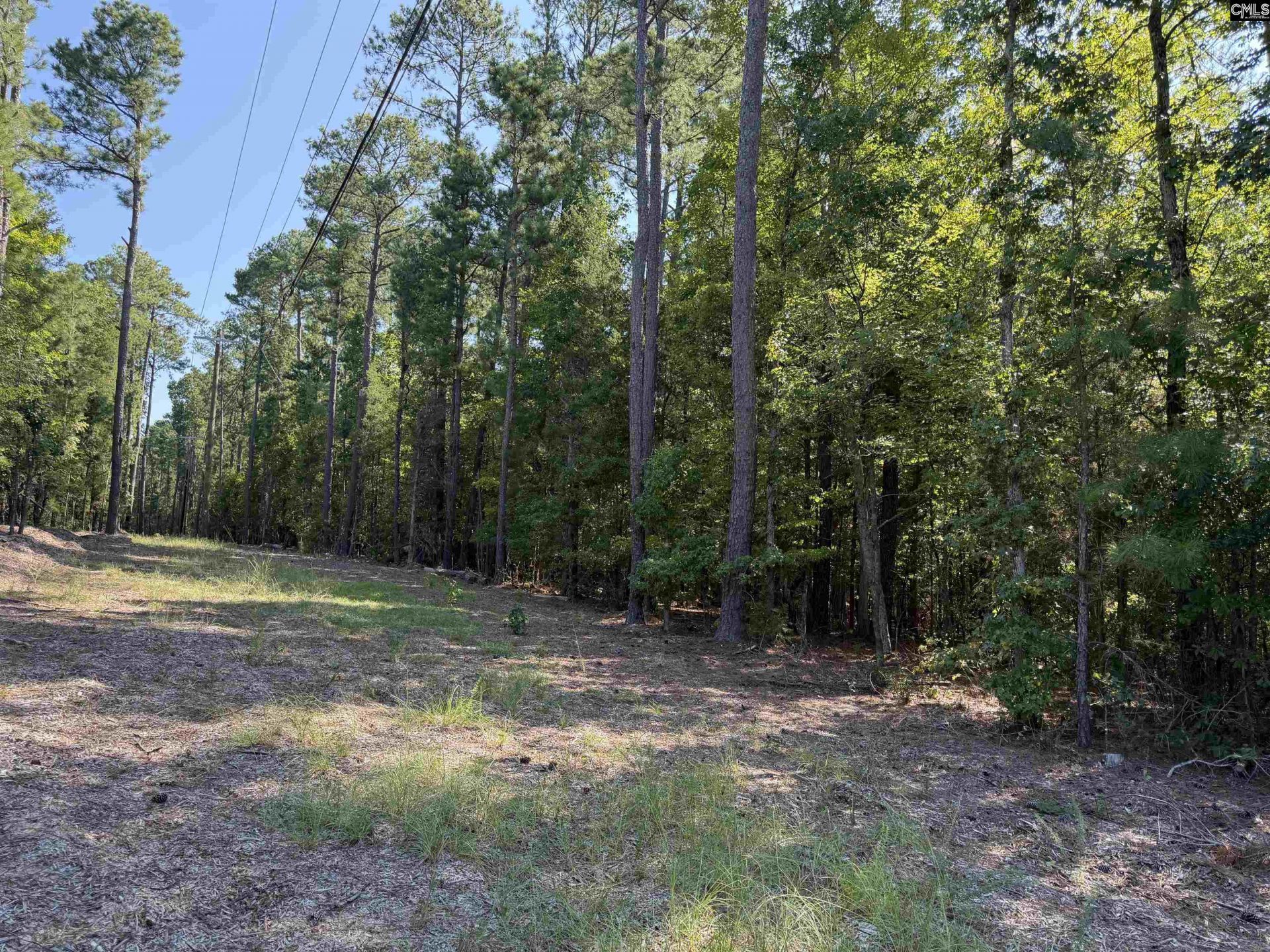 427 Murray Lindler Road Photo 4