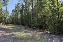427 Murray Lindler Road photo 4