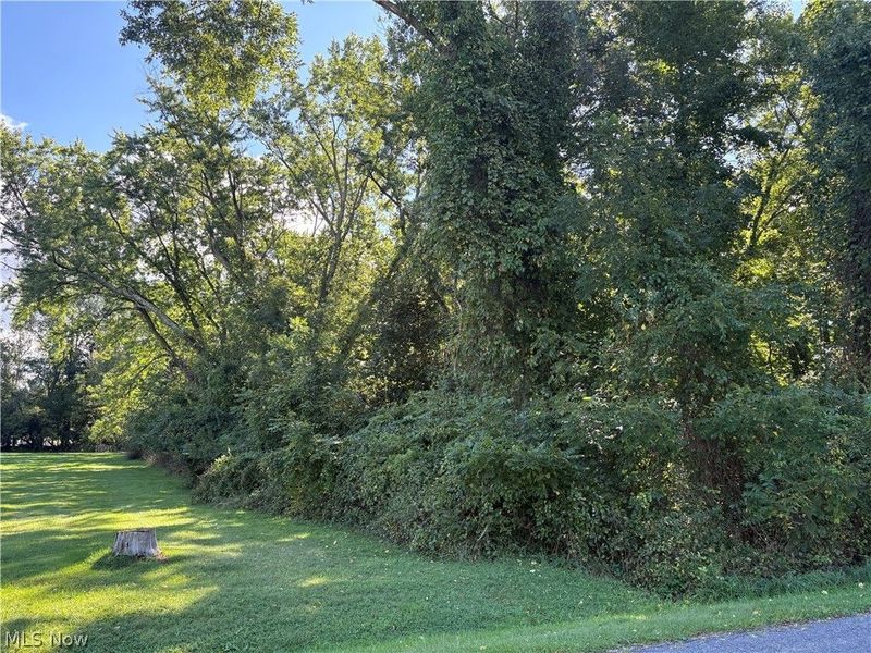 4051 Greenbay Drive, Barberton, OH 44203 Photo 7
