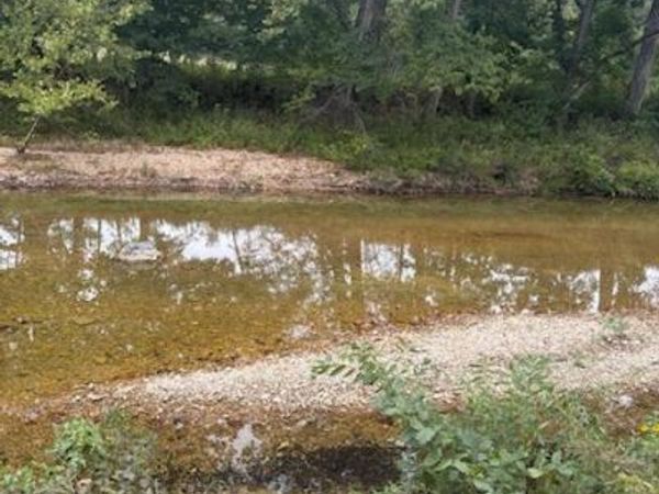000 Dunn Road , Walnut Shade, MO 65771