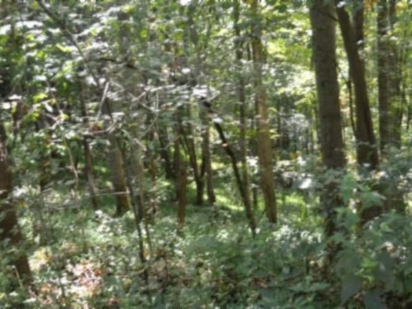 2121 Riley Creek Rd, Whitleyville, TN 38561