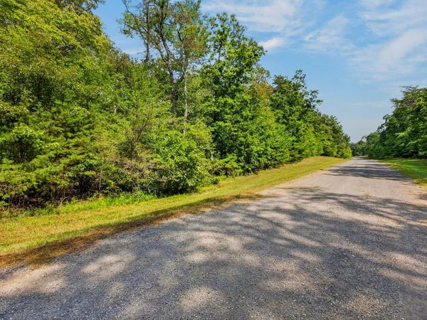 1 AC Mountain Ash Dr, Monterey, TN 38574