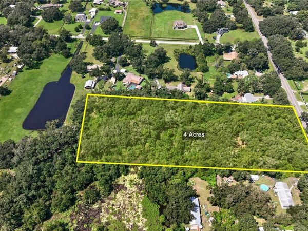 00 W KNIGHTS GRIFFIN ROAD , PLANT CITY, FL 33565